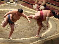 Arena