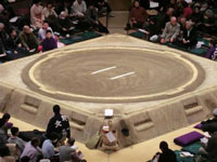 Arena
