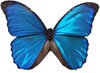 muestra