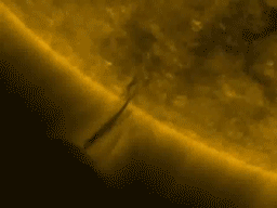 Sol