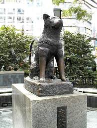 hachiko