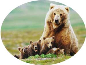 familia