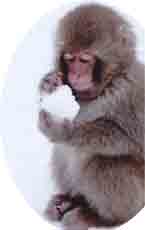 frio, tranquilo