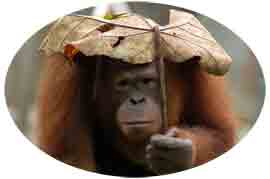 Llueve
