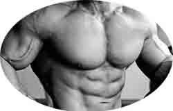 cuerpo 
