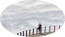 Foca