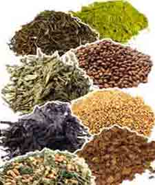 Tipos de té