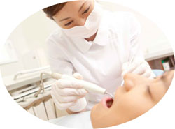 Dentista